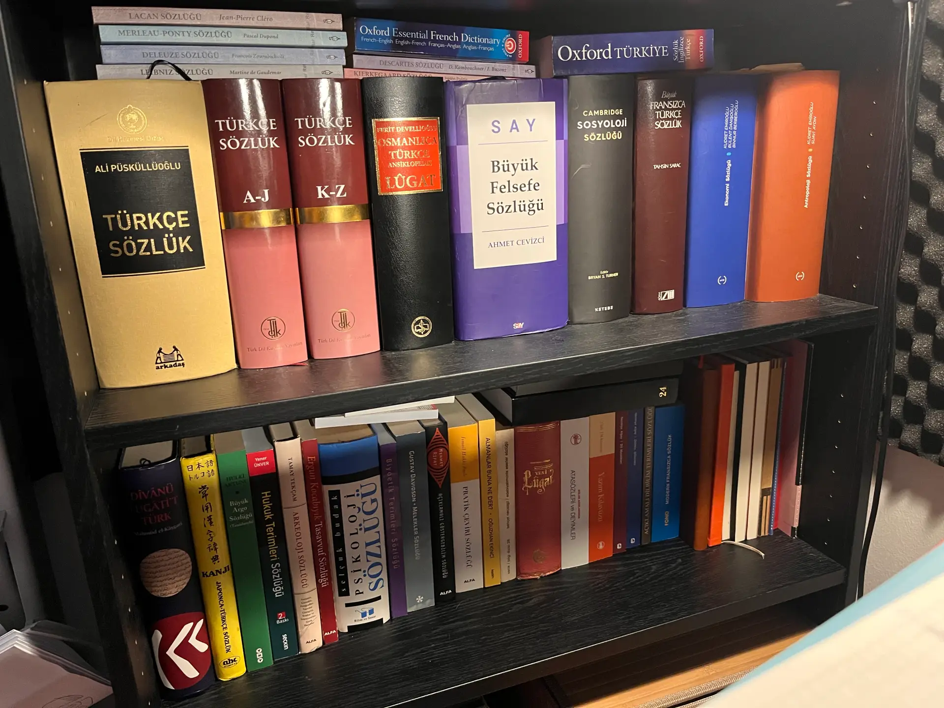 Editörün Yancıları: Sözlük